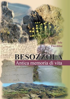 Besozzola